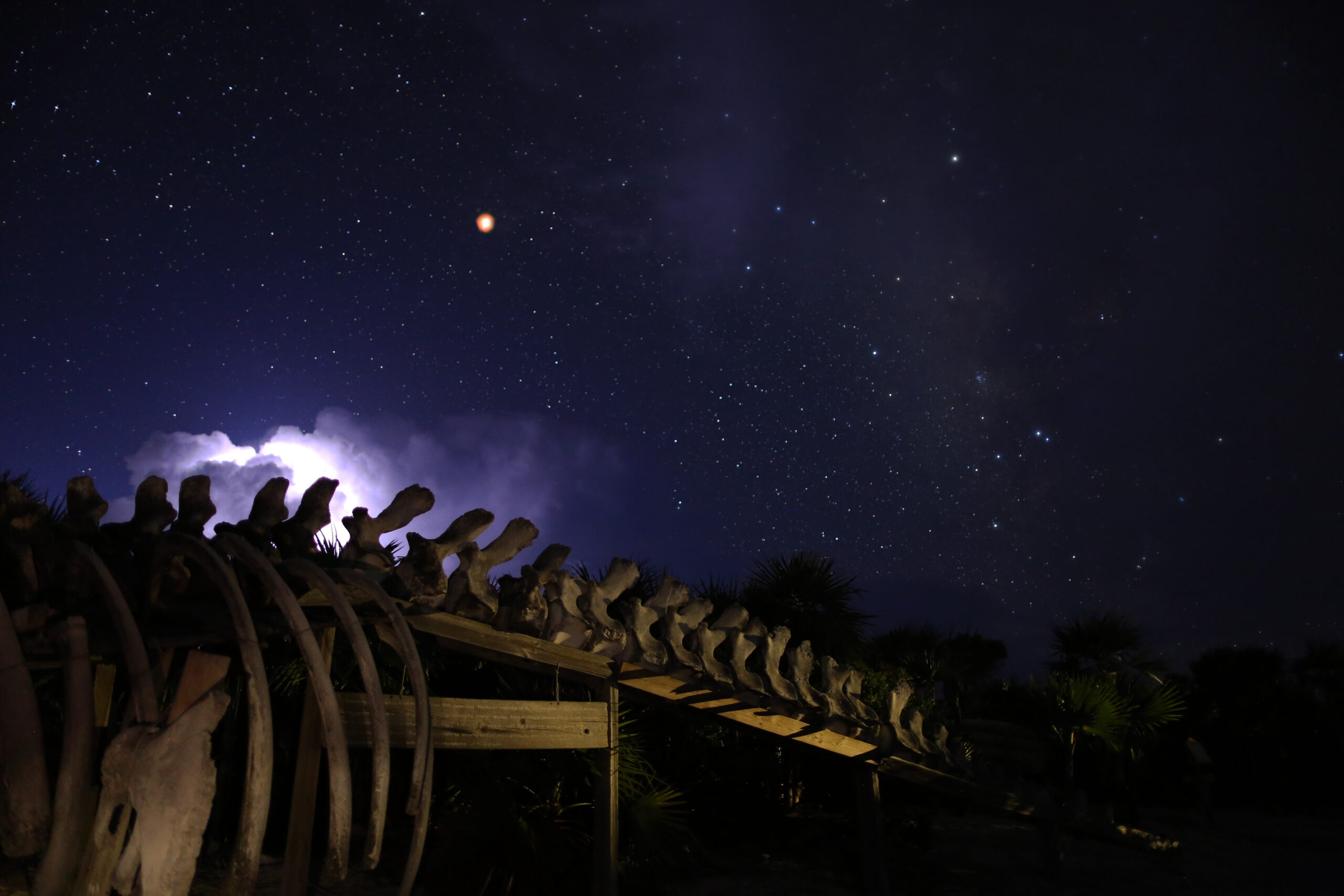 MarsWhaleLightning2 MarsWhaleLightning2