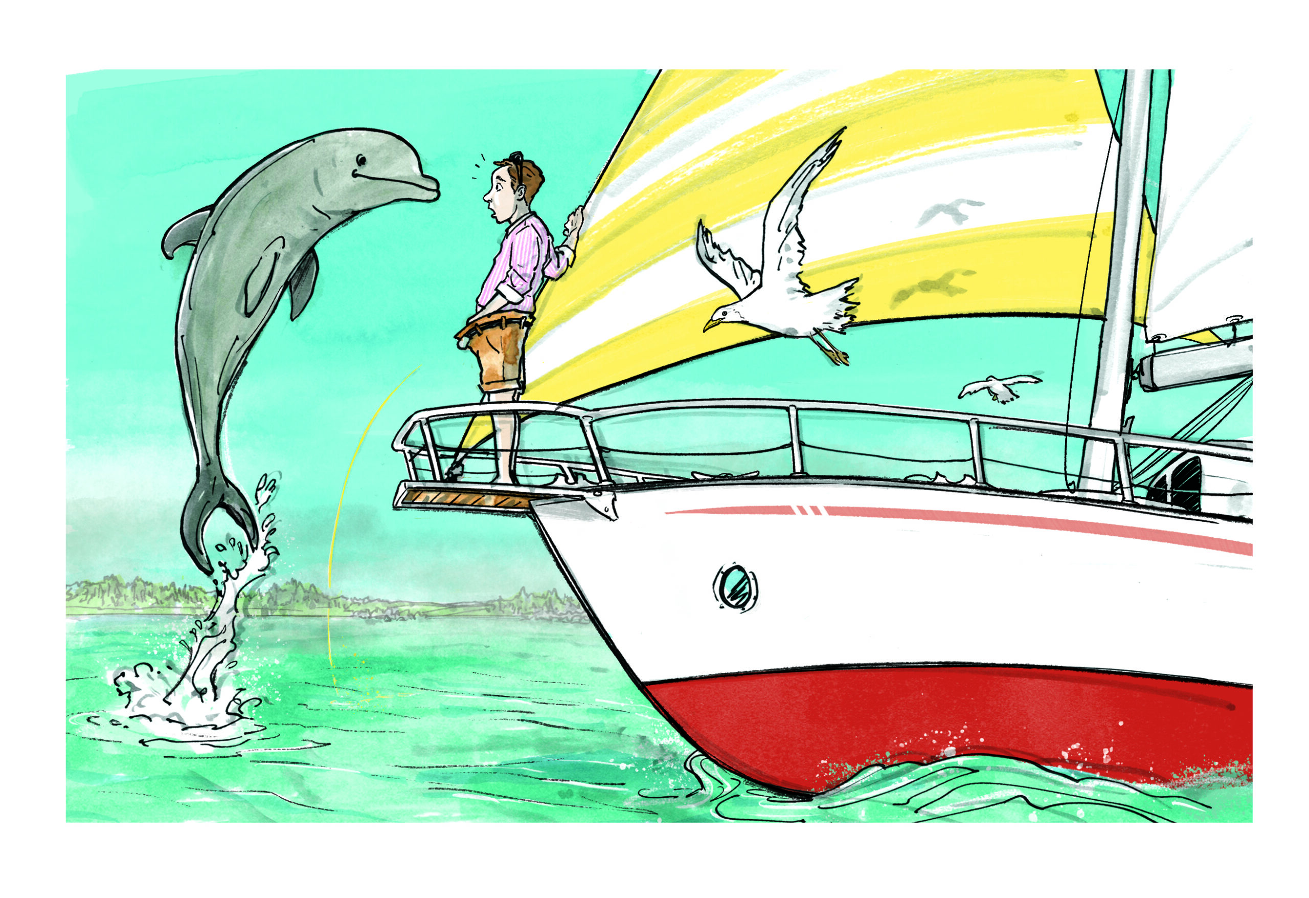 Passagemaker_Dolphin_Final_1 Passagemaker_Dolphin_Final_1