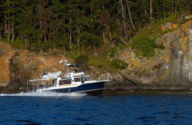 R41 cropped R41 cropped
