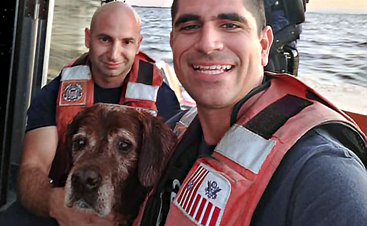 dog and guardsmen cropped dog and guardsmen cropped