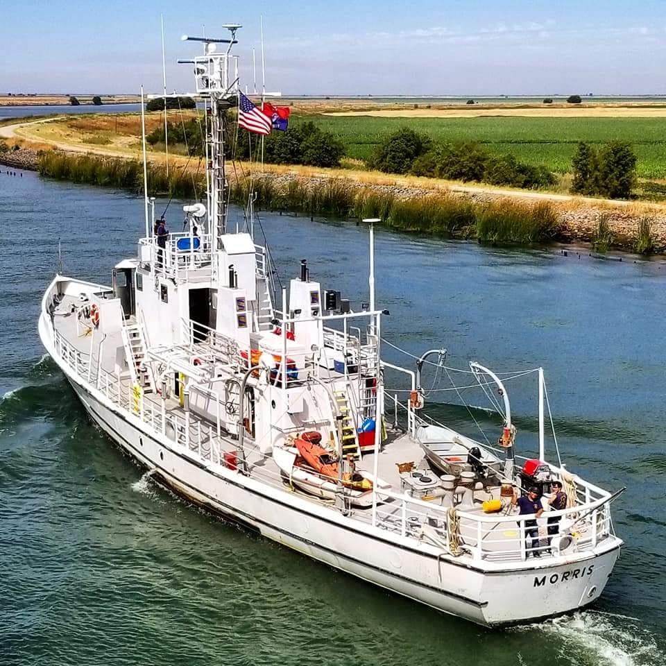 Cutter 5