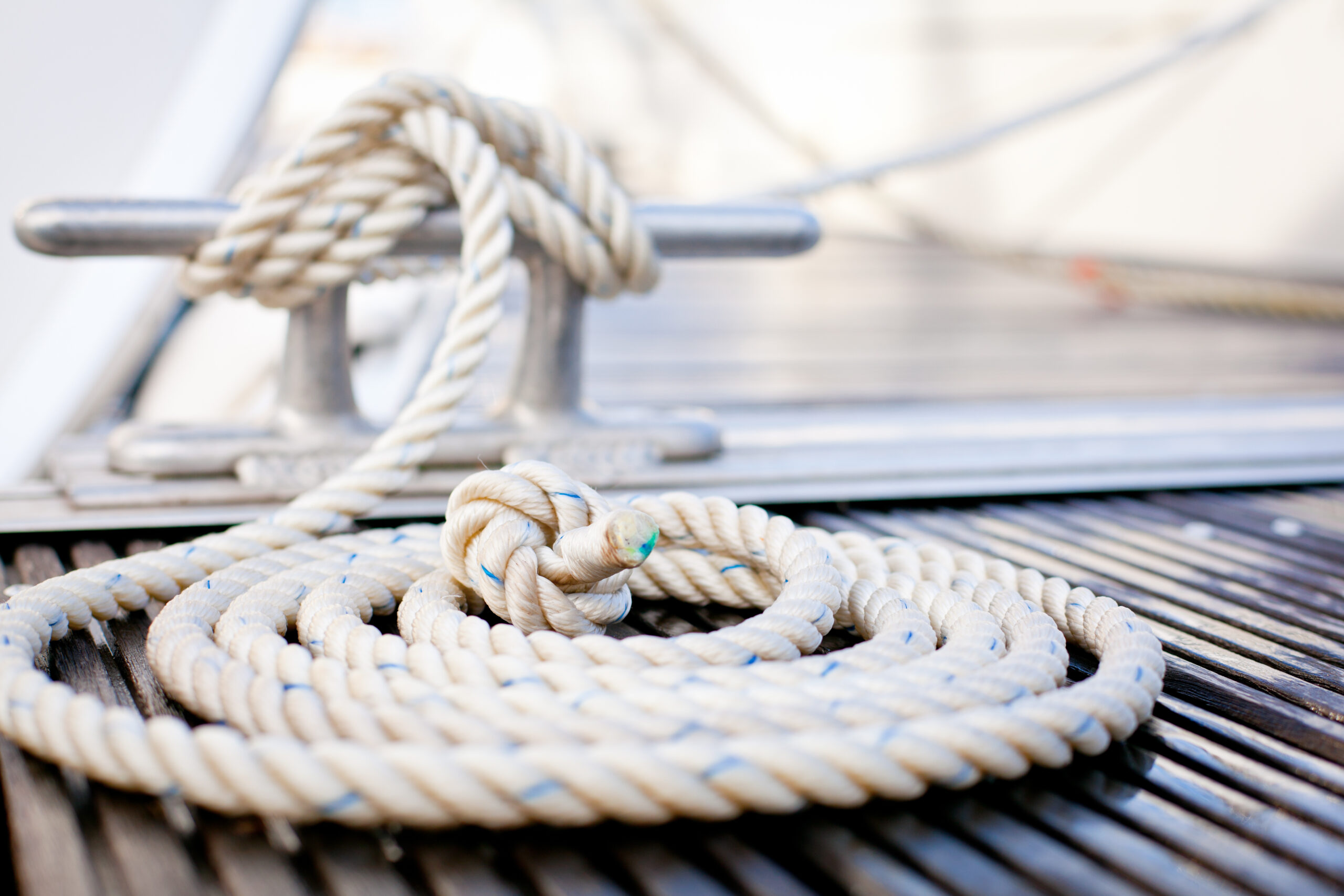 AdobeStock_35006836 AdobeStock_35006836