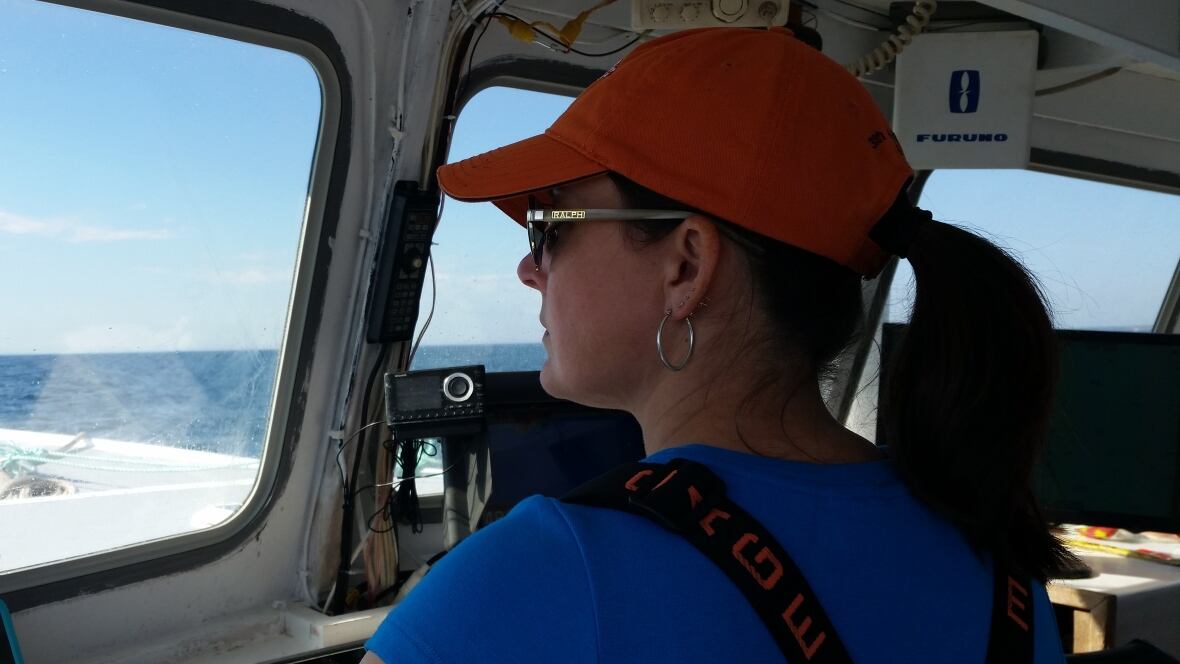 hi-captain-lobster