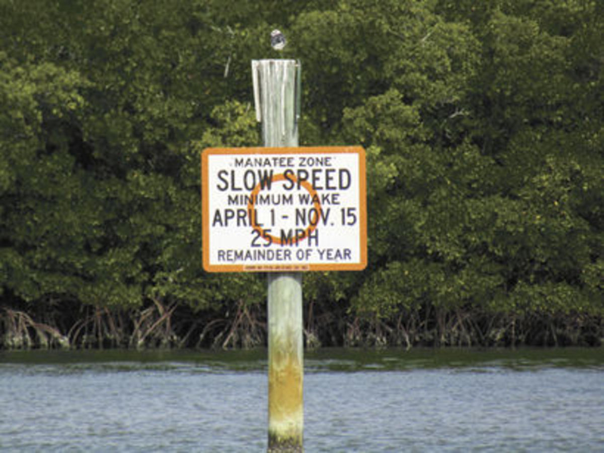 fla-speedlimit fla-speedlimit