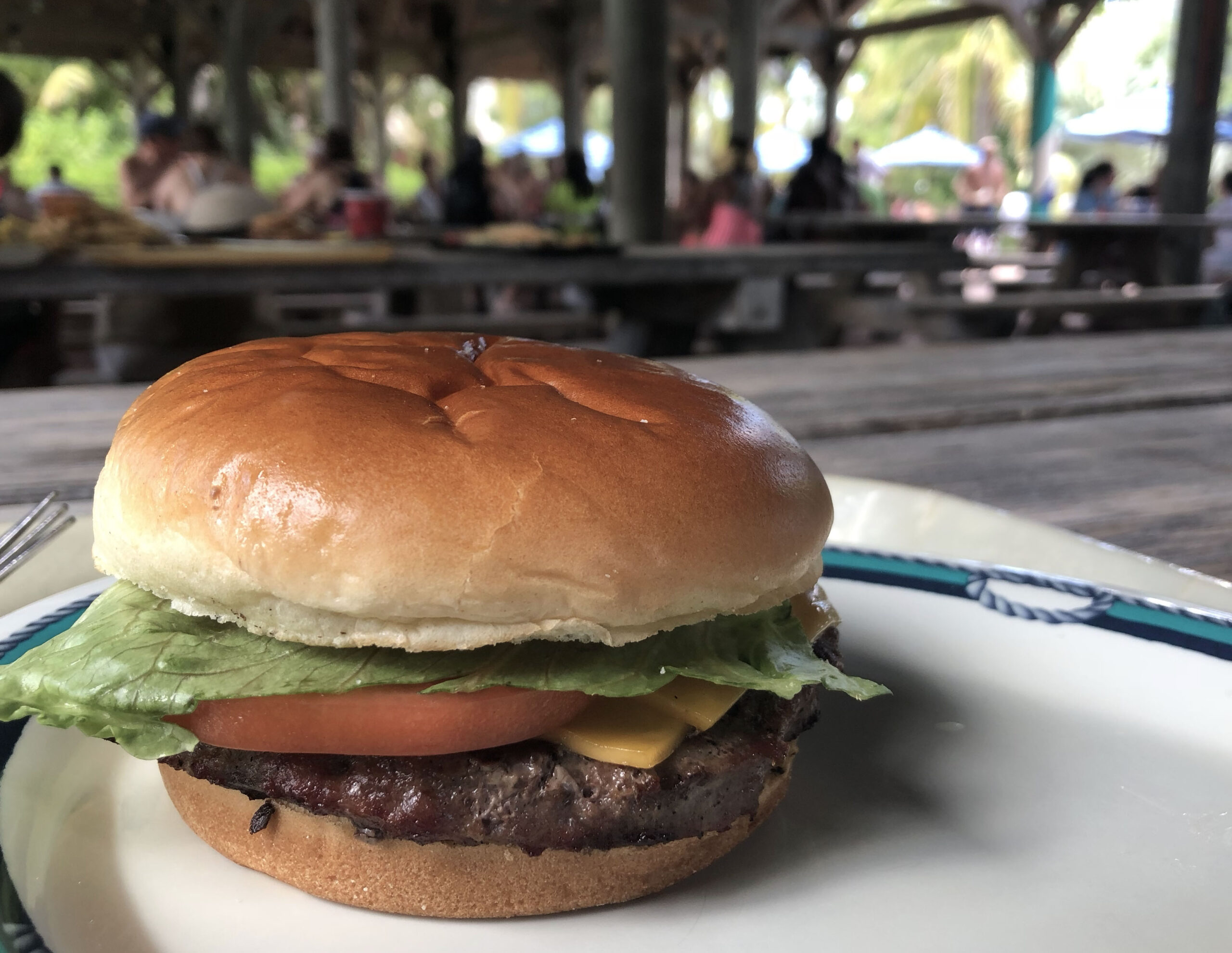 cheeseburger-in-paradise cheeseburger-in-paradise