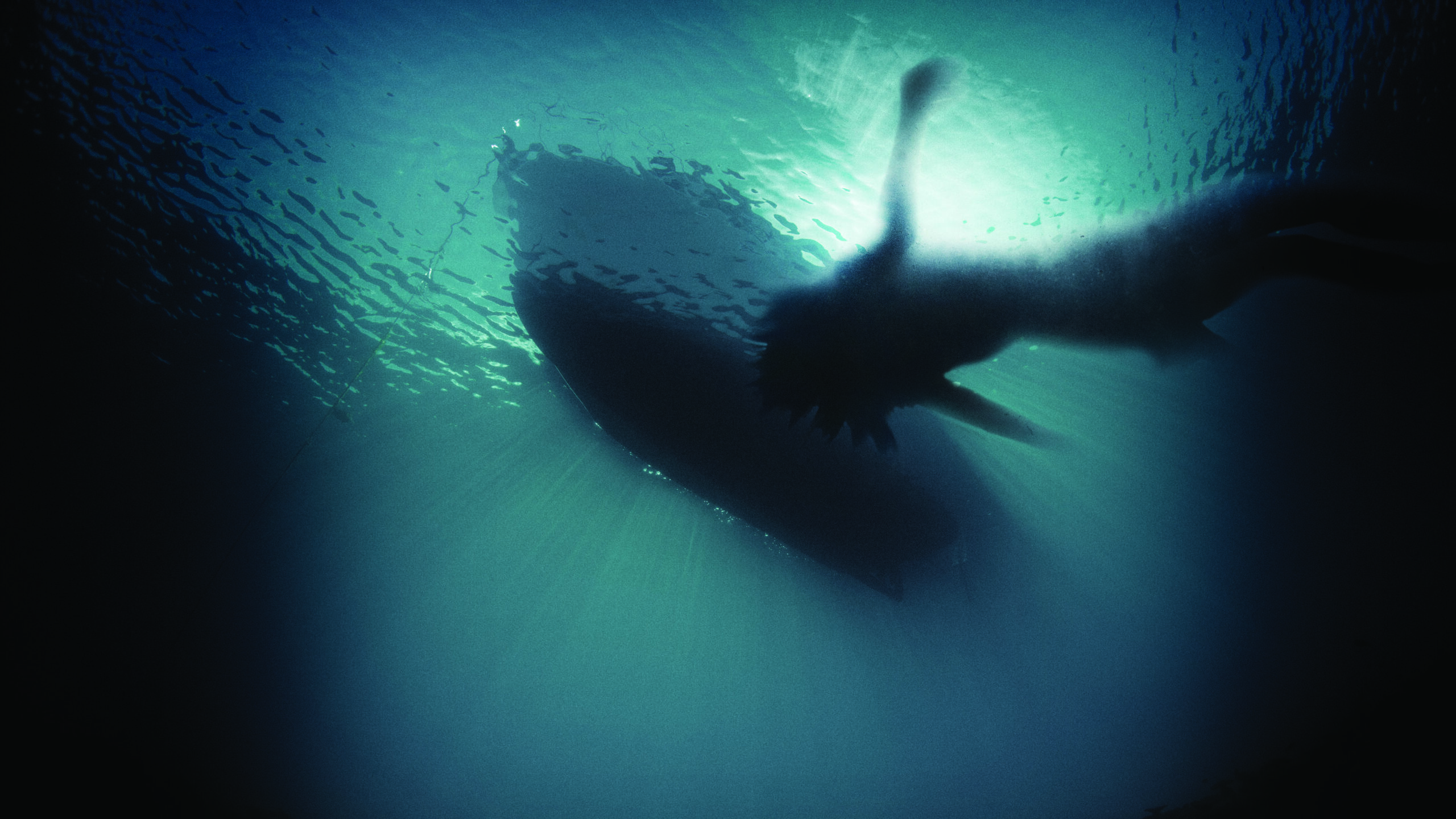 Abyss1