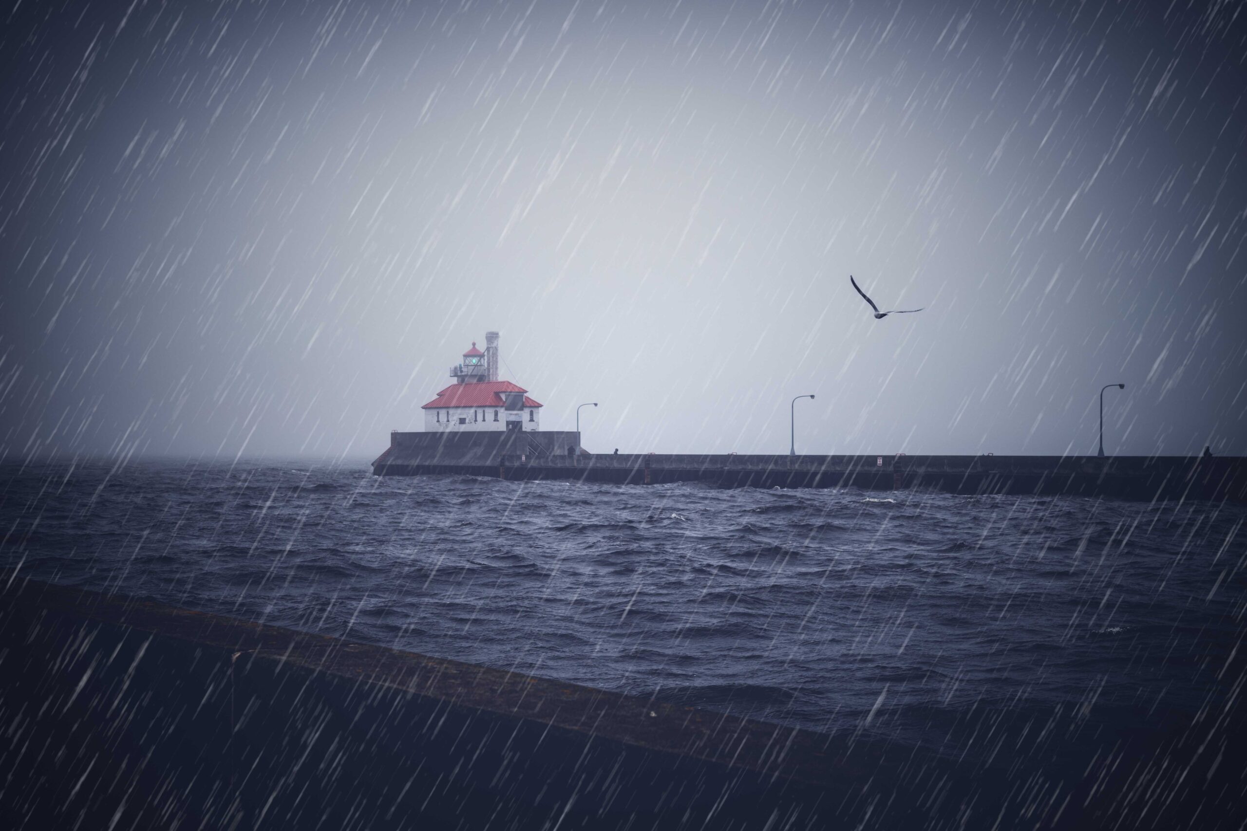 rain in harbor