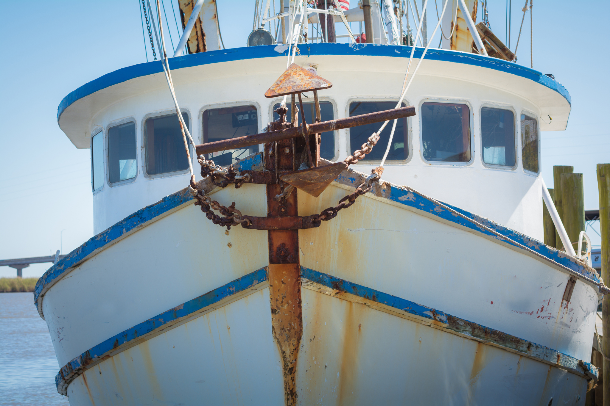 AdobeStock_105482813 AdobeStock_105482813