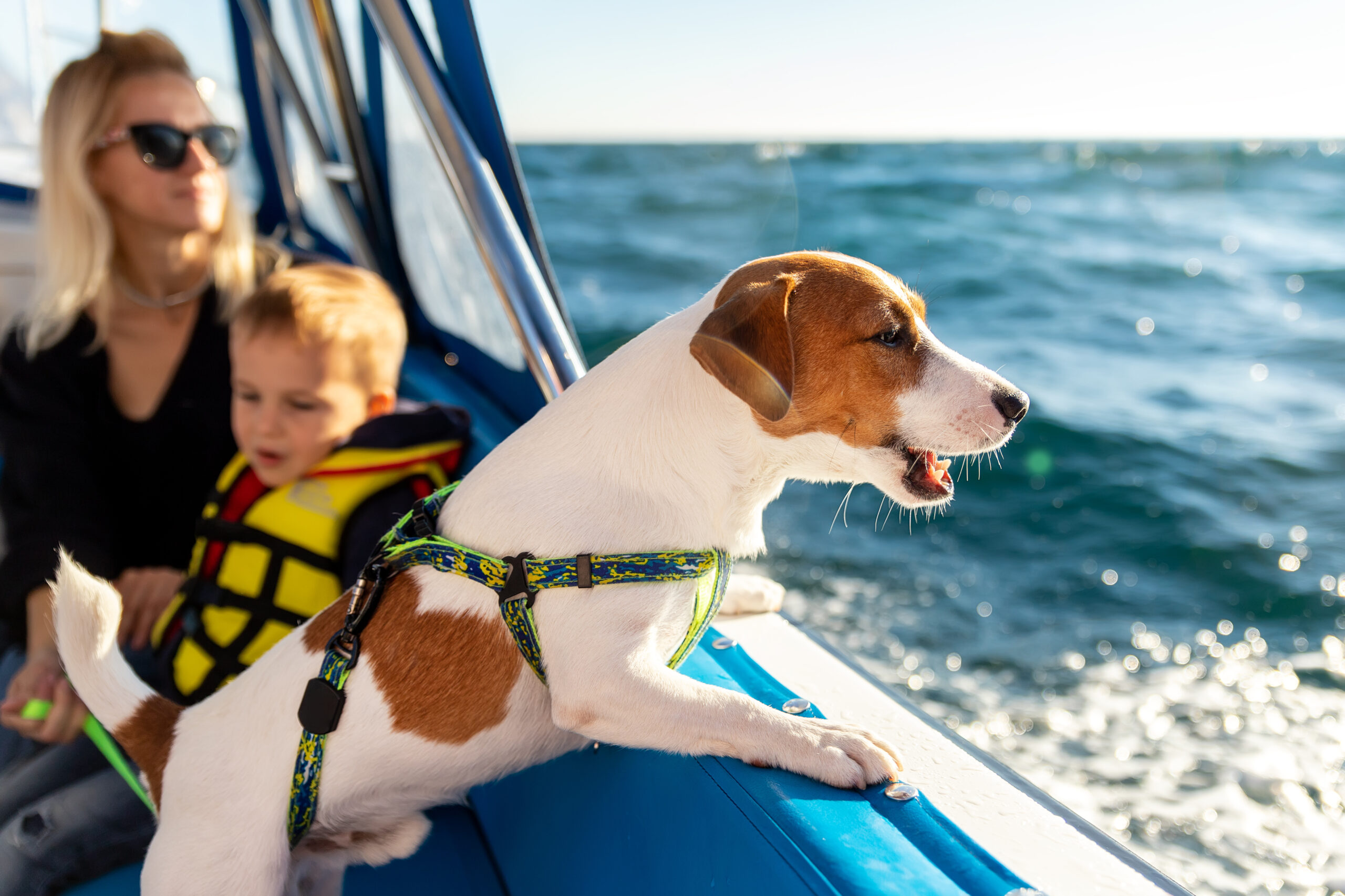 1_AdobeStock_486002780
