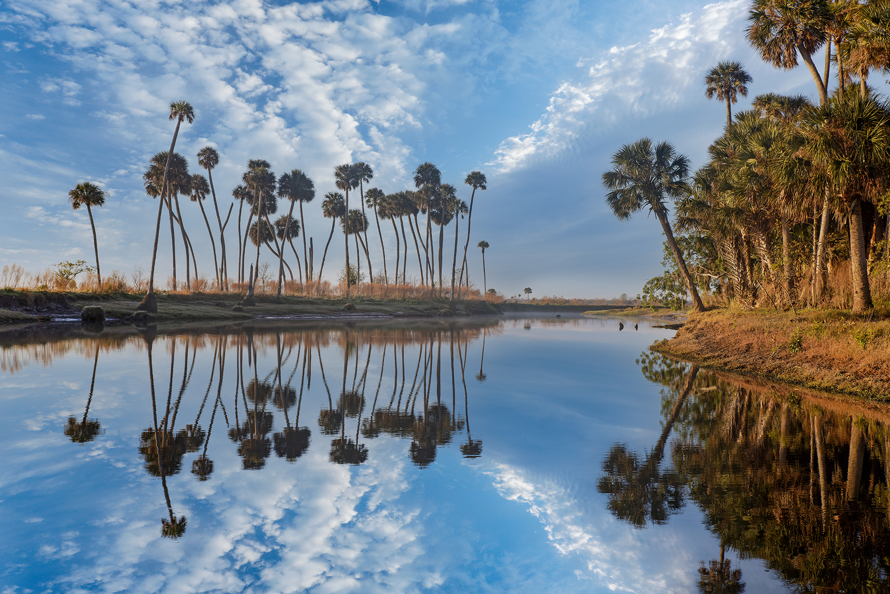 AdobeStock_534357804