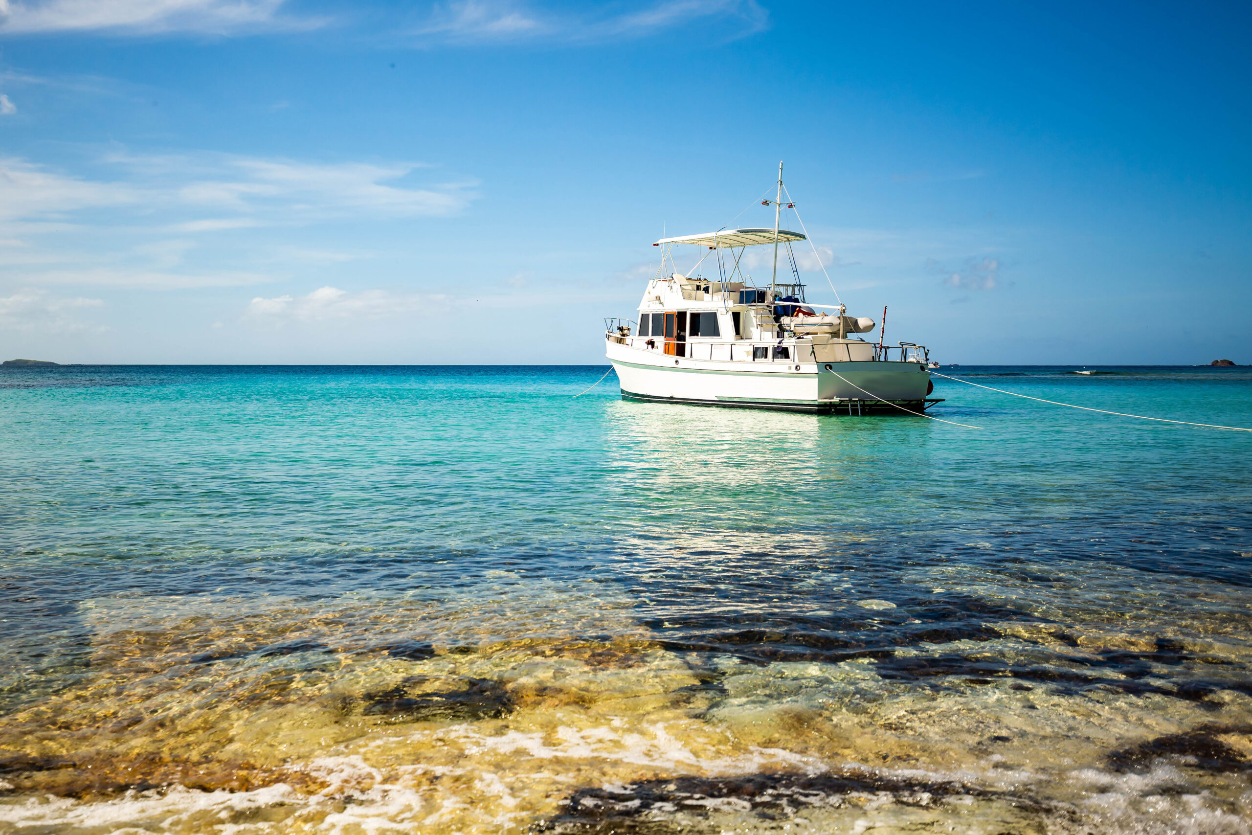AdobeStock_240519246 AdobeStock_240519246