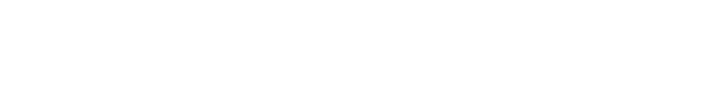 2019logo_outlines_wht