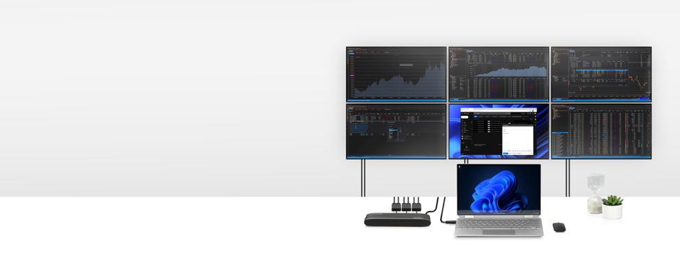 Multiple display adapter