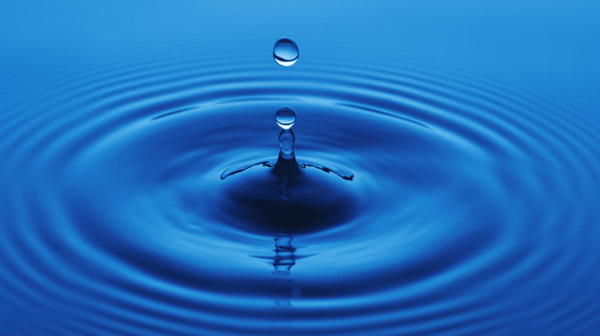 prm1-water