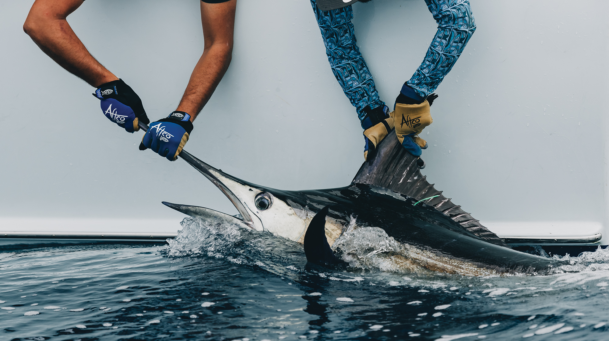prm-main-fish-tagging