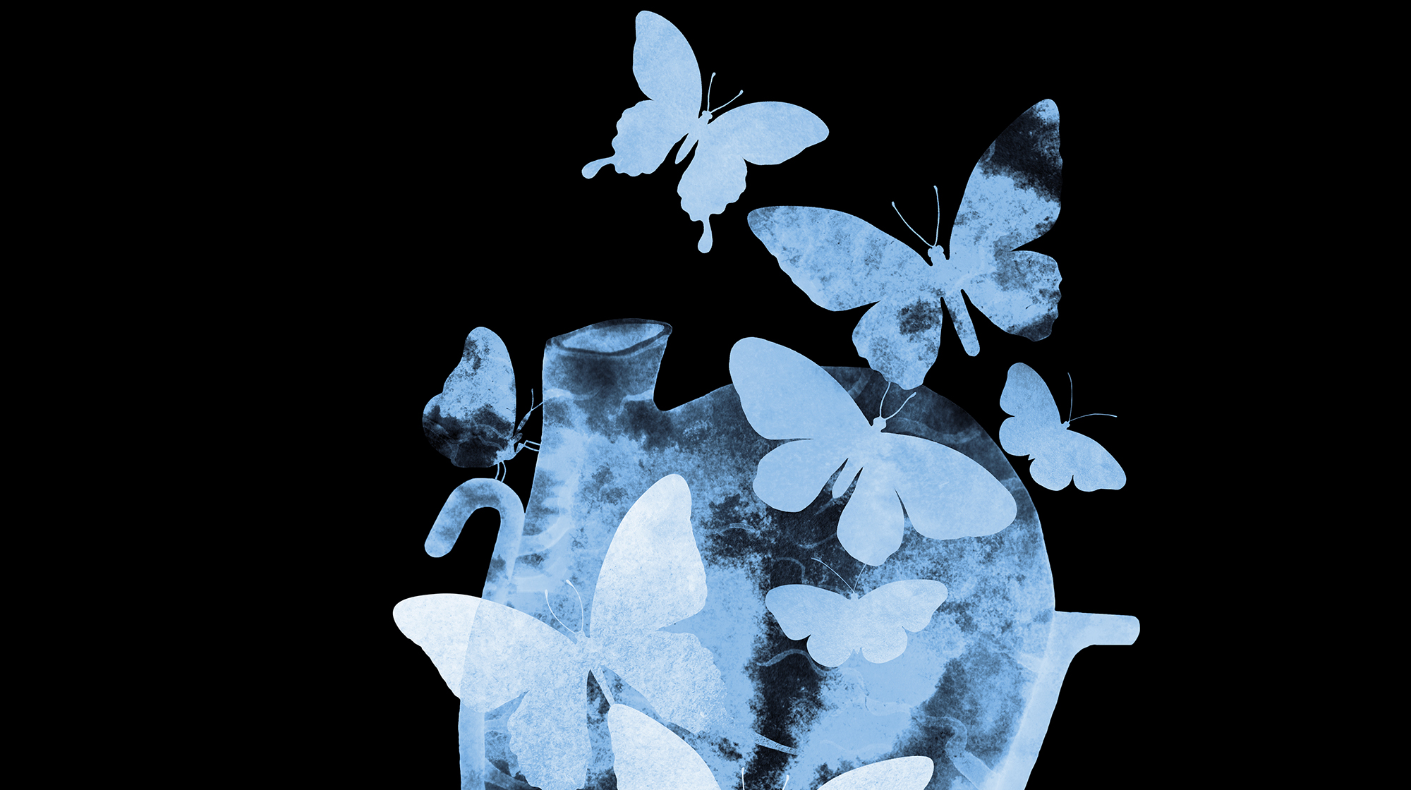 prm-boating-butterflies