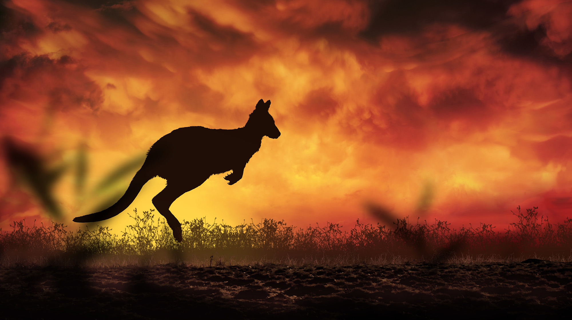 prm-Australia-fires prm-Australia-fires