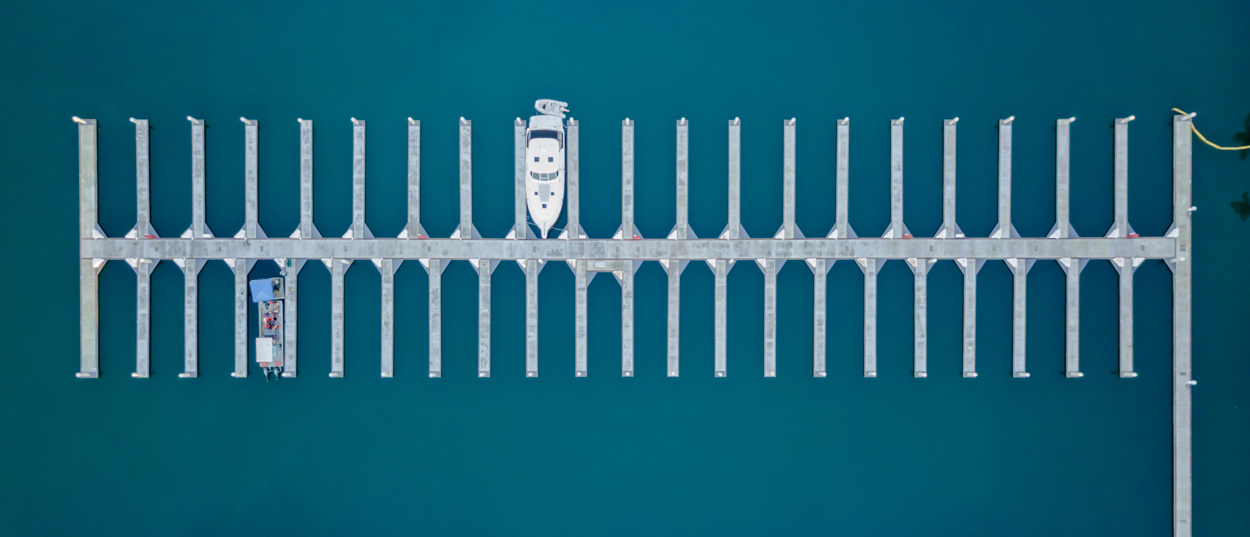 AdobeStock_186009784 EDIT