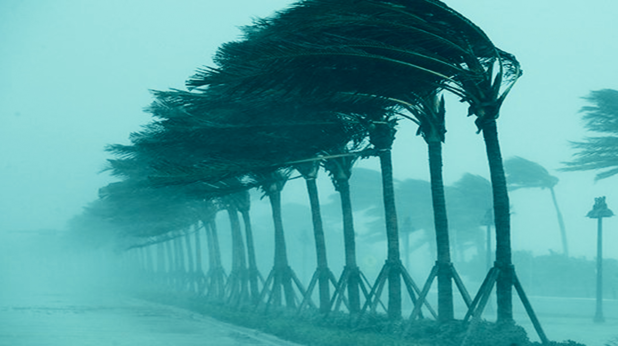 prm1-hurricane
