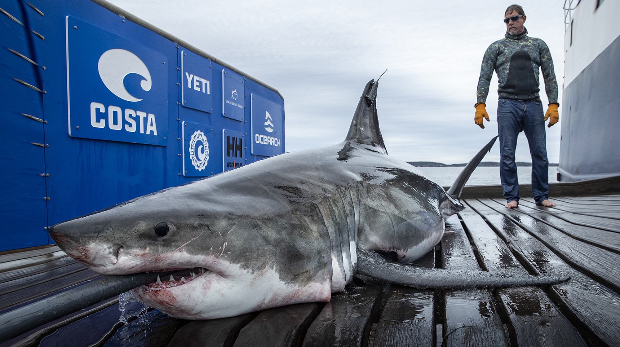 prm1_ocearch prm1_ocearch