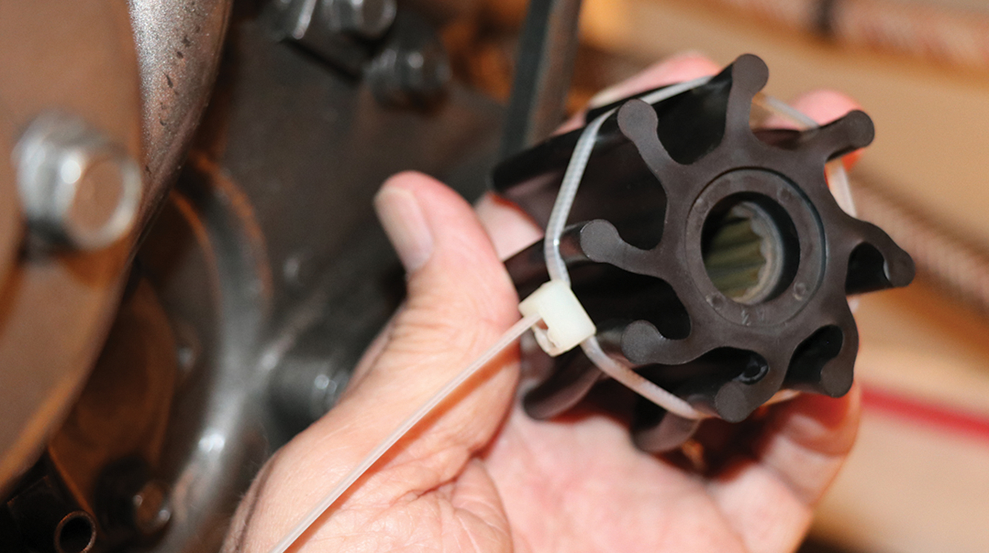 prm-impeller-reeplacement prm-impeller-reeplacement