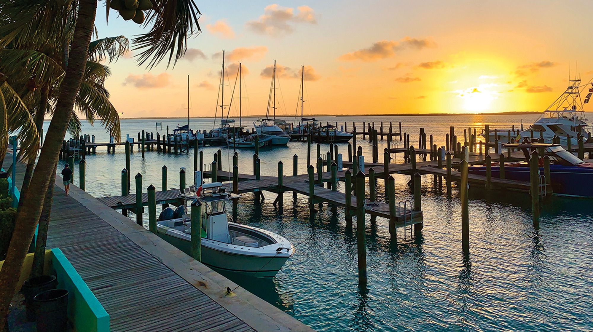 prm_Bimini_Big_Game_Club