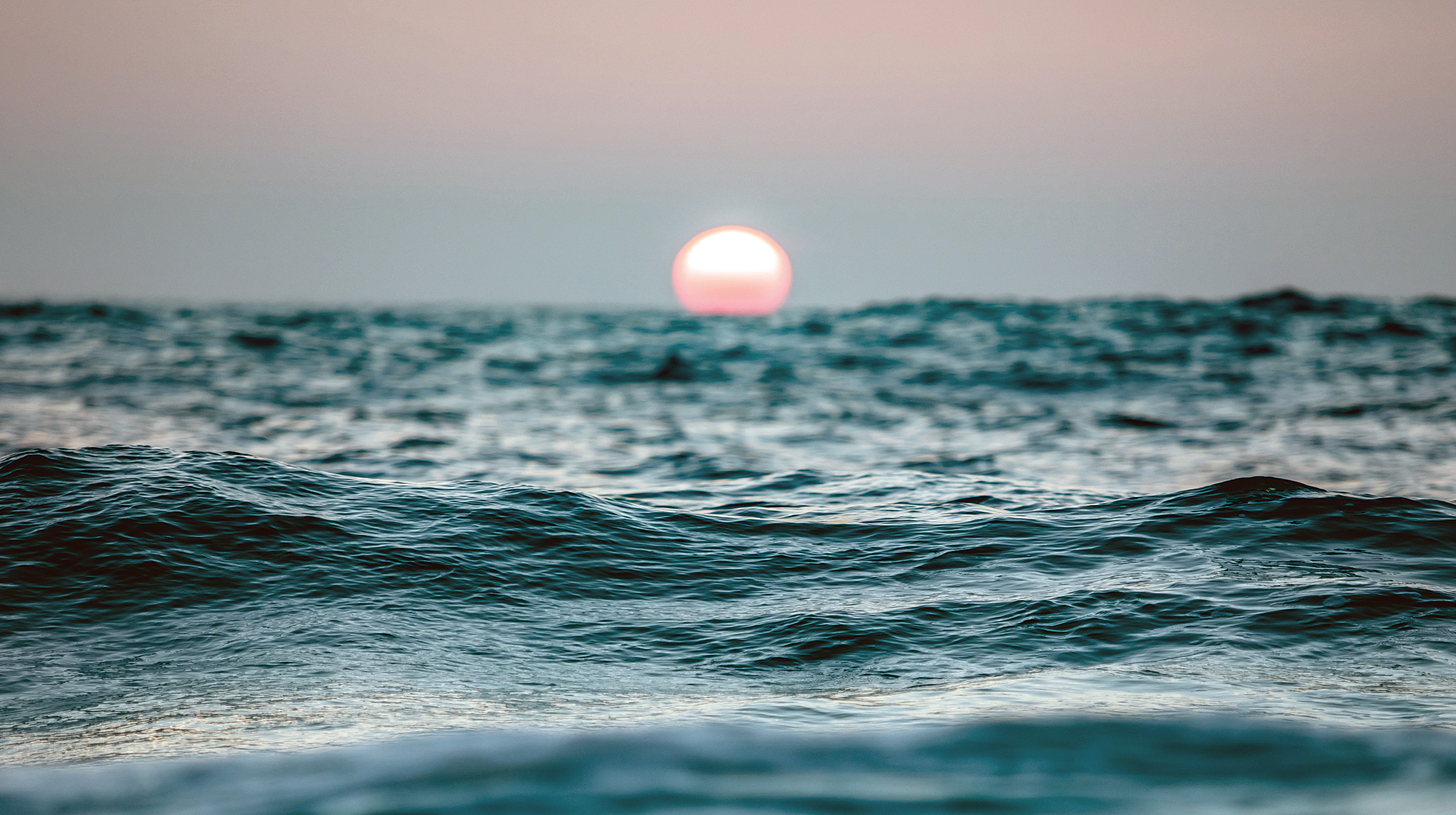 prm_AdobeStock_138443181 prm_AdobeStock_138443181