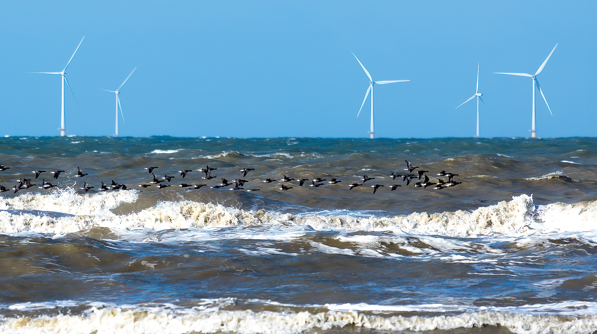 prm_offshore-wind-farm prm_offshore-wind-farm
