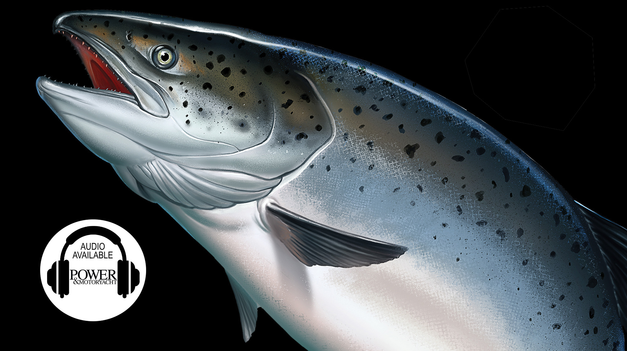 prm1_salmon prm1_salmon