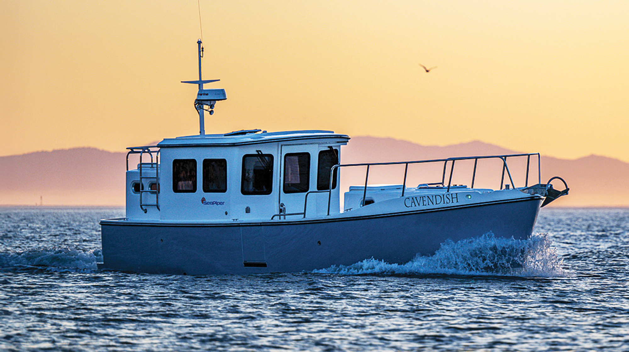 prm_Seapiper_37 prm_Seapiper_37