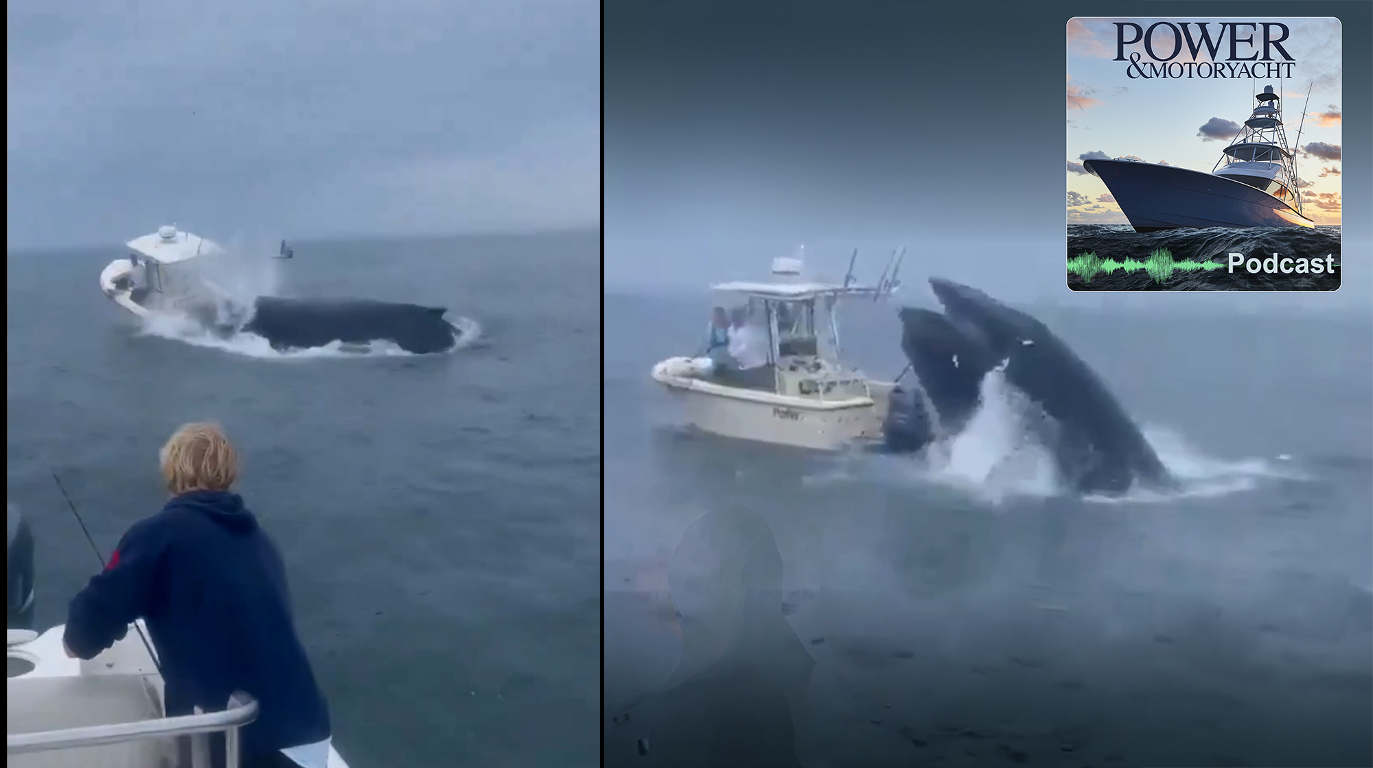 prm-whale-sinks-boat prm-whale-sinks-boat