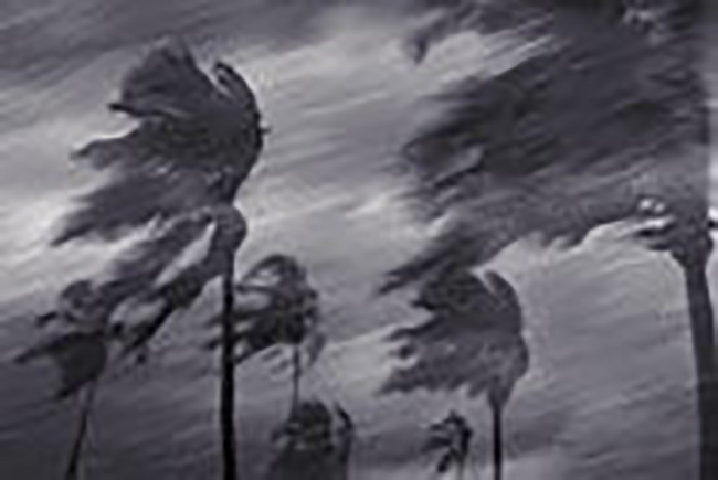 hurricane-650w.jpg promo image