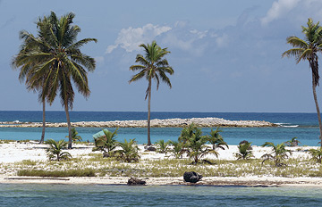 dd-belize-1.jpg promo image
