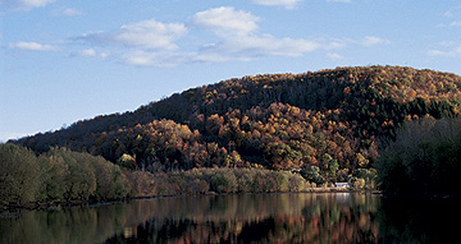 dd-ny-1-prm650.jpg promo image