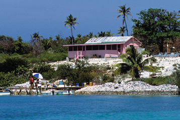 berryislands-main.jpg promo image berryislands-main.jpg promo image