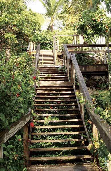 Yowsahs: That's alotta stairs! Not to worry: The resort also has golf carts that can pick you up and drop you off at your room if you prefer a more leisurely, vacation-like pace.