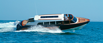vikal-limo-main.jpg promo image