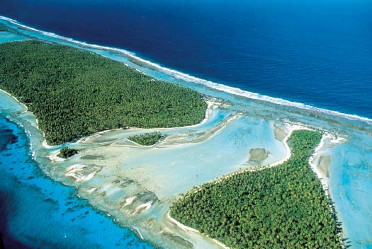 the-next-wave-french-polynesia.jpg promo image