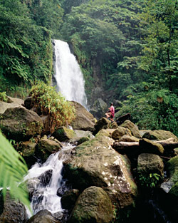 destinations-to-die-for-inset.jpg promo image