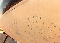 boat-pox-bottom-blisters-main.jpg promo image
