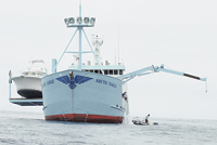 offshore-adventures-main.jpg promo image