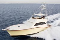 2008-vicem-63-sportfish-jl-main.jpg promo image 2008-vicem-63-sportfish-jl-main.jpg promo image
