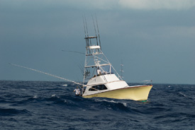 unfun-fishing-main.jpg promo image