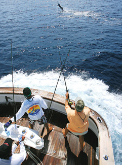 pmyp-090500-spf-1.jpg promo image