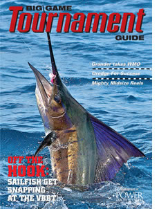 2010bgtg_cover_230x302.jpg promo image