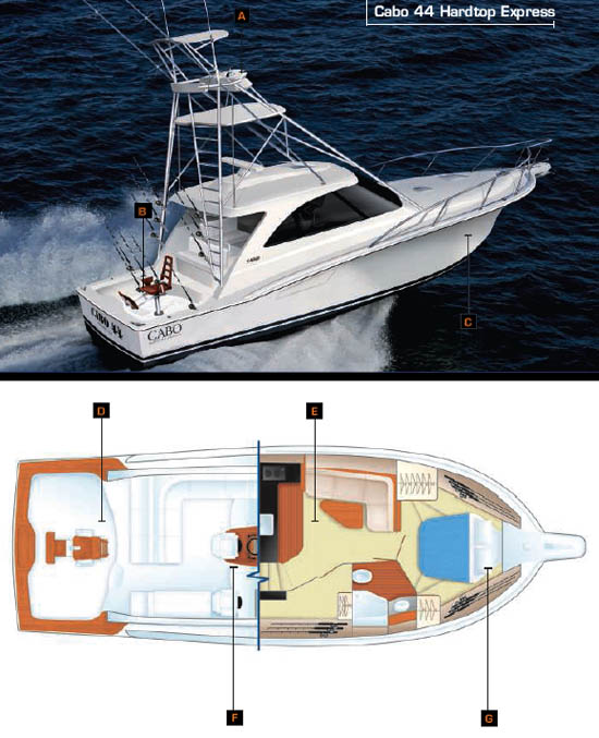 dp_cabo44_550w.jpg promo image
