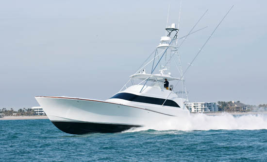 acy68_550w.jpg promo image acy68_550w.jpg promo image