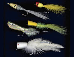 rainysflies.jpg promo image