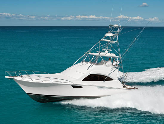 bertram540_550w.jpg promo image