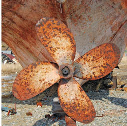 pmyp-110400-pp-6_255w.jpg promo image